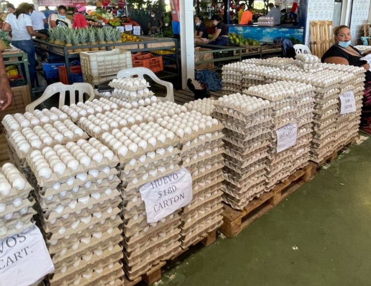 Gobierno comprará huevos a productores por cierre frontera