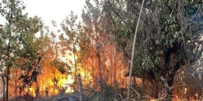 Fuego forestal afecta a loma Guaigüí