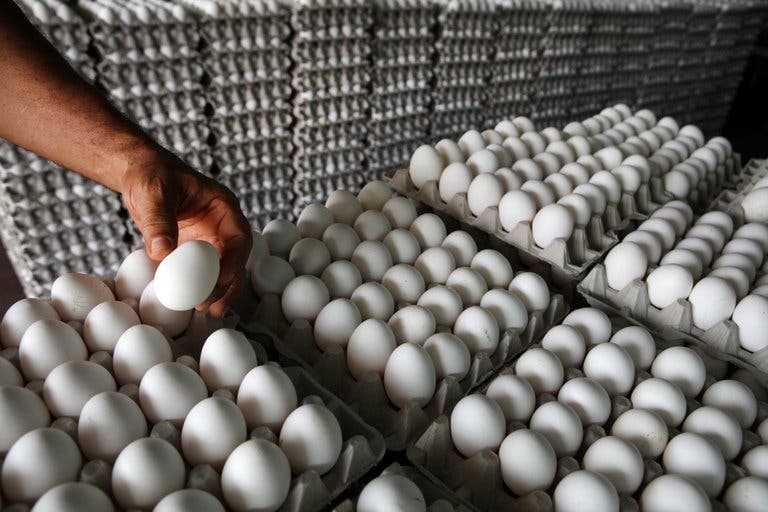 Inespre venderá a 100 pesos el cartón de huevos de productores de Dajabón