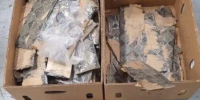 Ocupan 97 láminas cocaína camufladas en cajas de bananos
