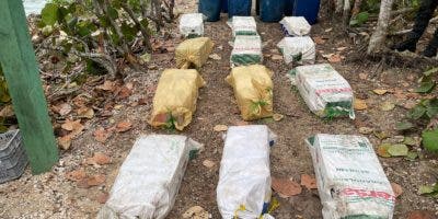 Autoridades ocupan 290 paquetes de cocaína en Bayahíbe