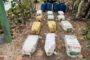 Autoridades ocupan 290 paquetes de cocaína en Bayahibe