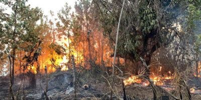 Incendio afecta área recreativa Loma de Guaigüí, La Vega