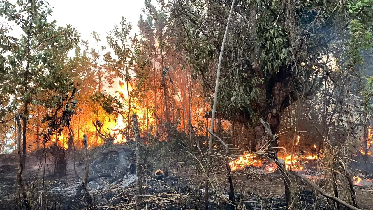 Incendio afecta área recreativa Loma de Guaigüí, La Vega