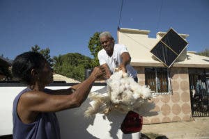 Regalar gallinas para no perder dinero alimentándolas, consecuencia del cierre fronterizo