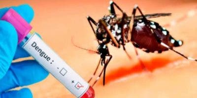 Sintomatología del dengue puede confundirse