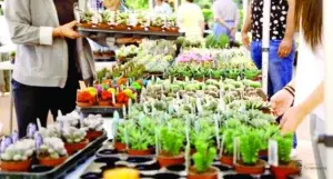 Festival Plantas y Flores, espacio para revivirse