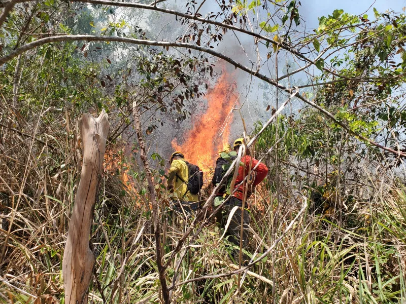 Bomberos españoles capacitan a dominicanos en la lucha contra los incendios forestales