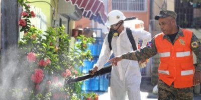 Entidades despliegan acciones por dengue
