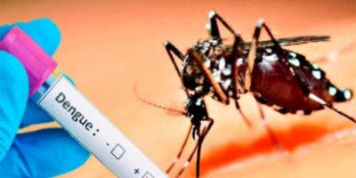 Este viernes se registraron 86 ingresos por sospecha de dengue en región Metropolitana