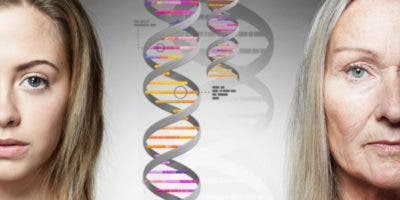 Descubre Qué son los «genes saltarines» y por qué pueden ser clave para el envejecimiento
