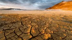 La ONU advierte de la pérdida de “tierras sanas” y alerta de su rápida degradación