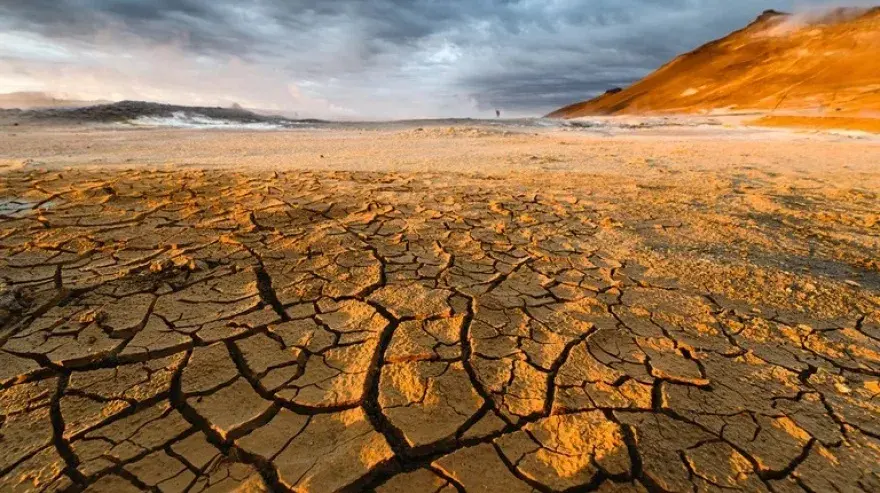 La ONU advierte de la pérdida de “tierras sanas” y alerta de su rápida degradación