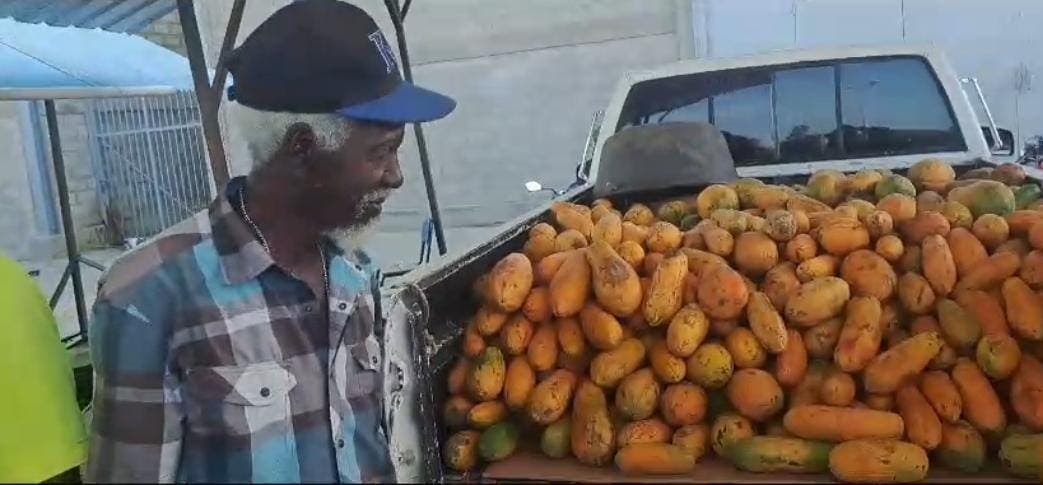 Vendedores de frutas del mercado de Dajabón denuncian pérdidas millonarias