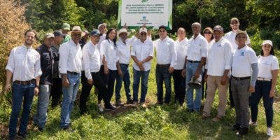 ETED restaura un área protegida  loma Isabel de Torres