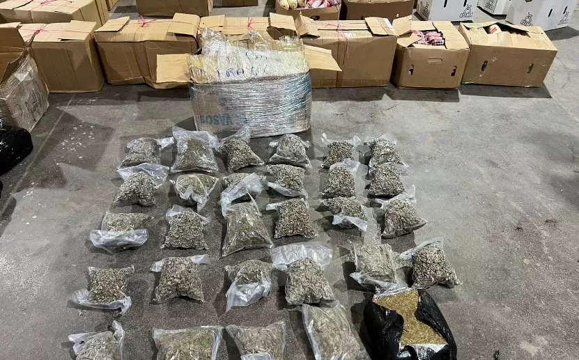 La droga fue enviada en cadena de custodia al Inacif.