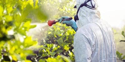 Expertos evalúan nuevas medidas fitosanitarias en Centroamérica y República Dominicana
