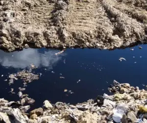 Los Lixiviados amenazan la salud y biodiversidad