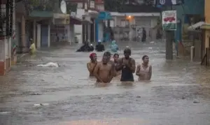 ¿Cómo se contagia la leptospirosis?