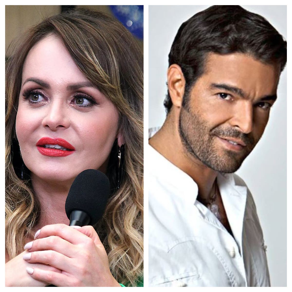 Gaby Spanic acusa a Pablo Montero de abuso sexual