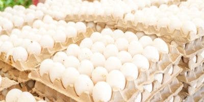 Gobierno dispone venta de cartones de huevos a RD$100 este jueves en supermercados