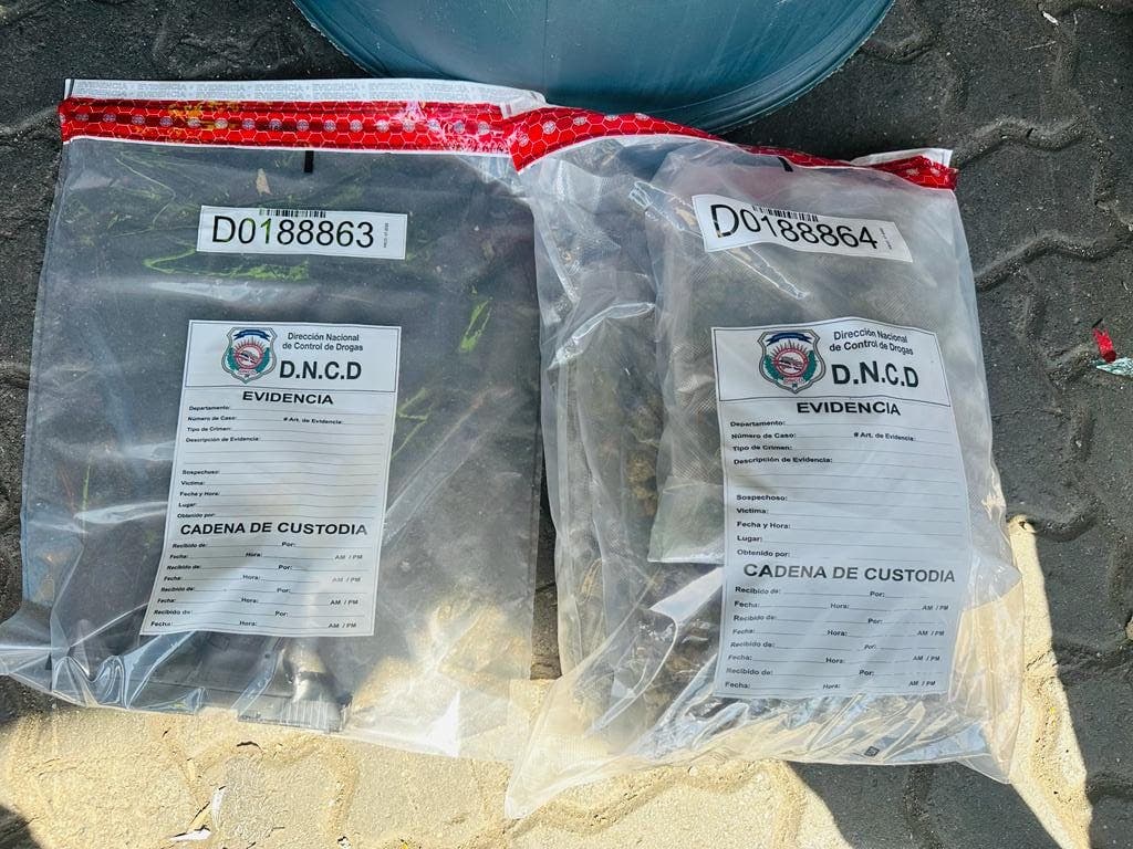DNCD ocupa tres paquetes de marihuana y una pistola escondidos en un tanque de comida