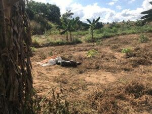 Encuentran haitiano muerto a orilla del río Masacre en Dajabón