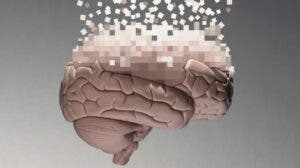 Cómo el cerebro humano se «reconfigura» a partir de los 40 años