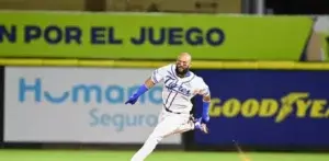 Los Tigres del Licey ganan último partido del año frente a los Gigantes del Cibao