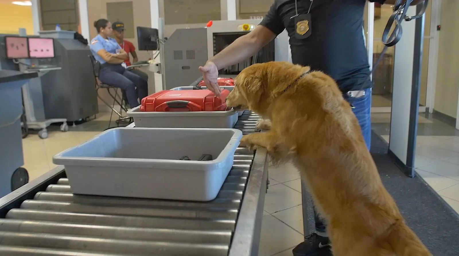 DNCD refuerza operativos en aeropuertos y puertos de país