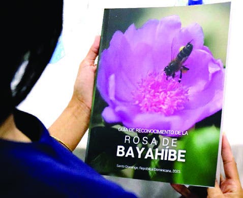 Fondo Marena lanza Guía de la Rosa de Bayahíbe
