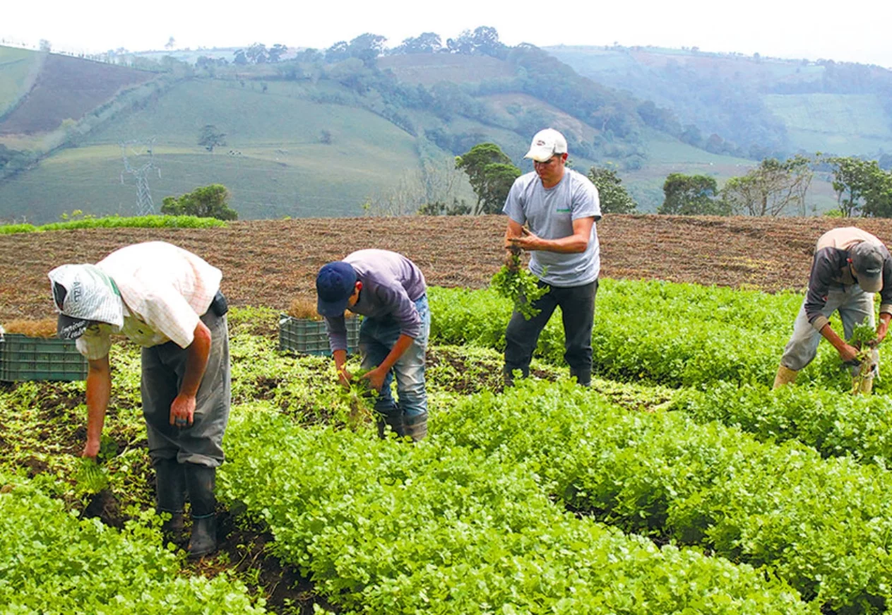 La producción sostenible gana terreno en sector agropecuario