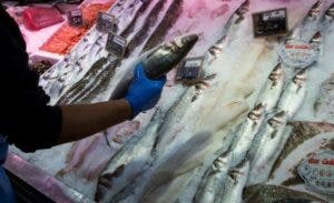 ¿Comemos el plástico que comen los peces?