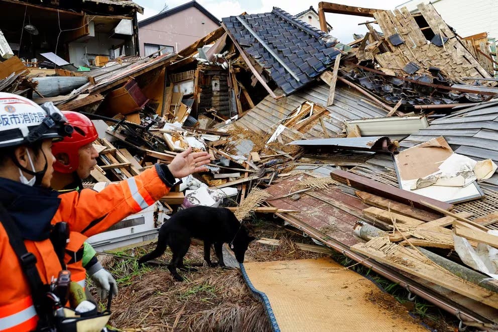 Jennifer, la perra que salvó a anciana de entre los escombros en Japón