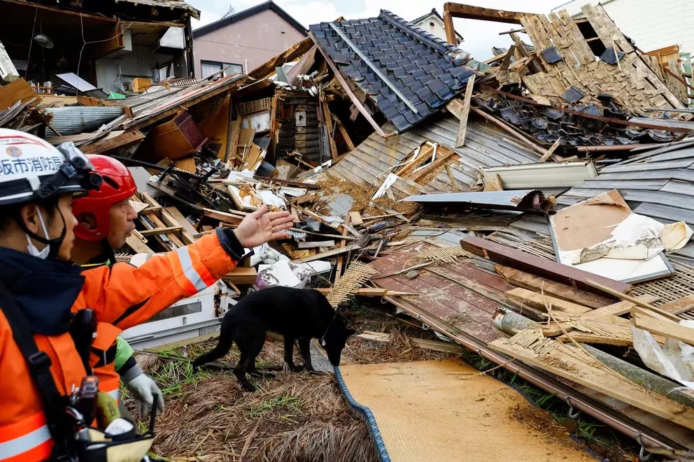 Jennifer, la perra que salvó a anciana de entre los escombros en Japón