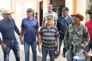 Haitianos ingresan a territorio dominicano y roban ganado en Dajabón; ganadero pide ayuda