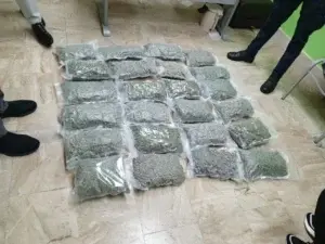 Apresan a un estadounidense en Aeropuerto de Punta Cana con 24 paquetes de marihuana