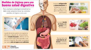 Salud gastrointestinal, esencial para el bienestar de todos los órganos