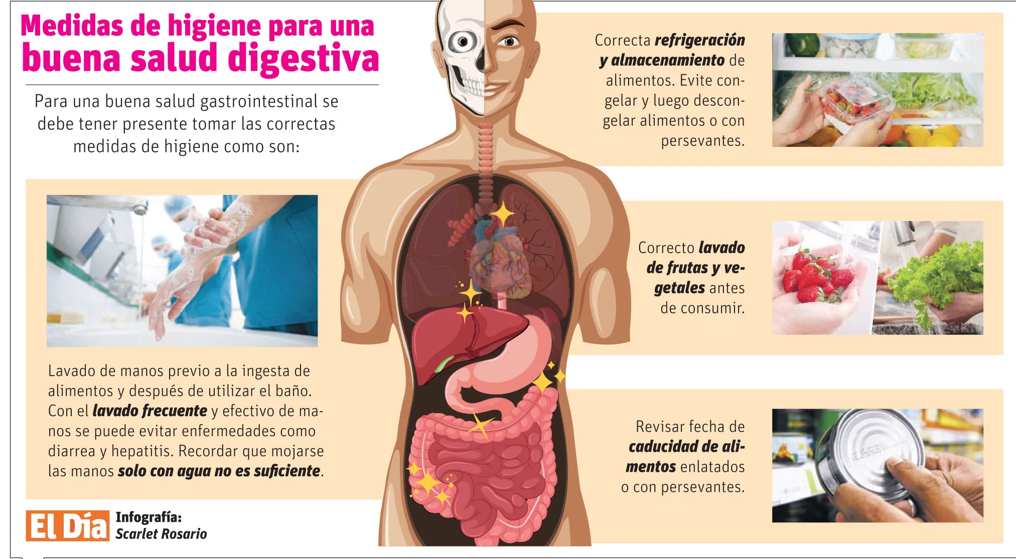 Salud gastrointestinal, esencial para el bienestar de todos los órganos