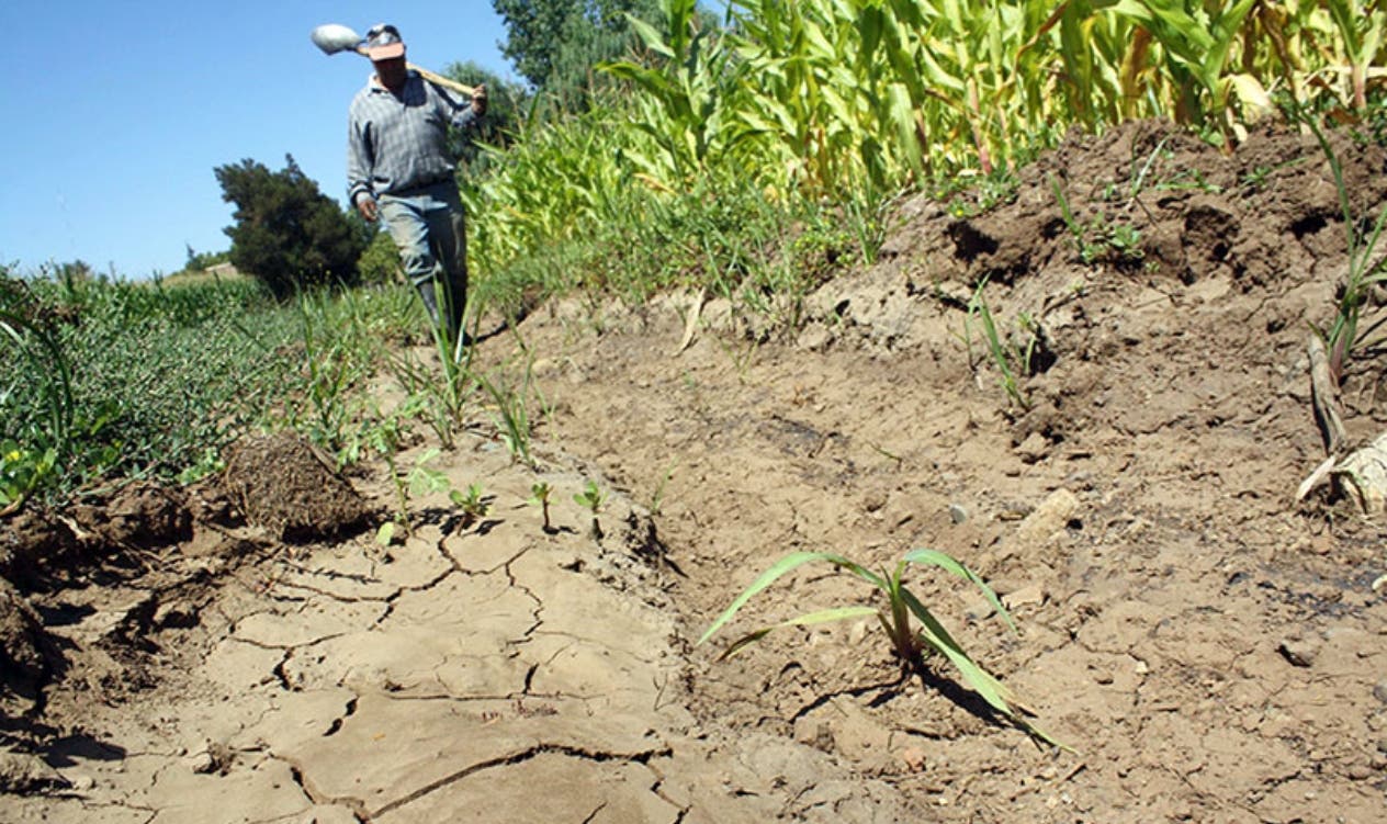 Provincias fronterizas tienen limitada producción de agro