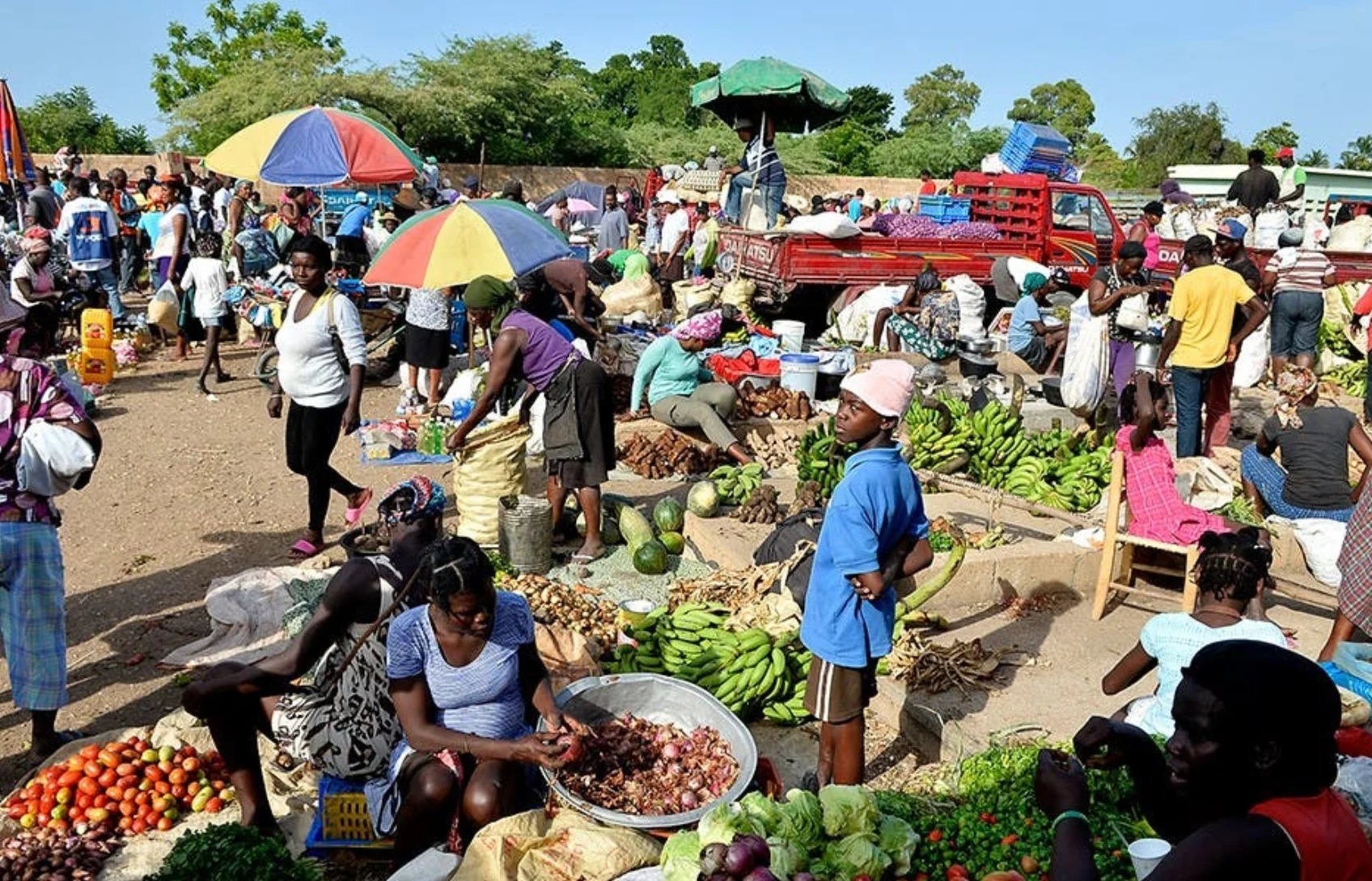 Comercio ilícito, desafío seguridad en frontera dominico-haitiana