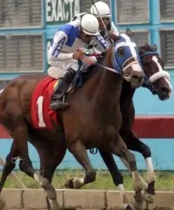 CHN venderá hoy  caballos importados PR  a los establos