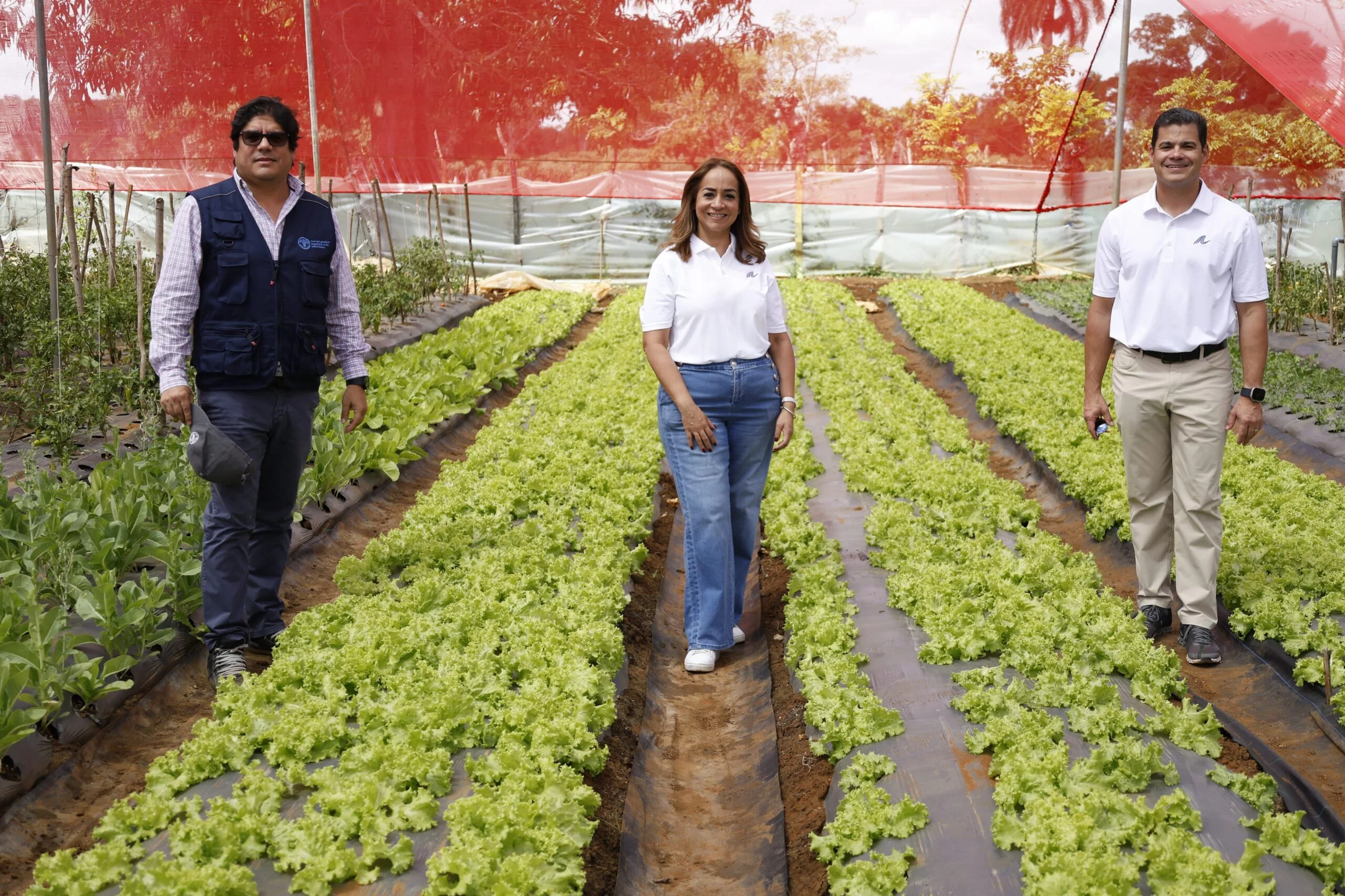 Rodrigo Castañeda, Aguie Lendor y David Llibre (1)