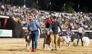 Sector agropecuario muestra avances y productos en Feria Agropecuaria