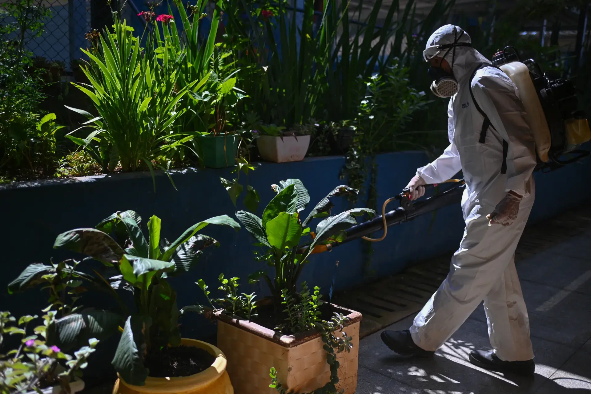 Epidemia de dengue en Latinoamérica alcanza cifras alarmantes en primer trimestre de 2024