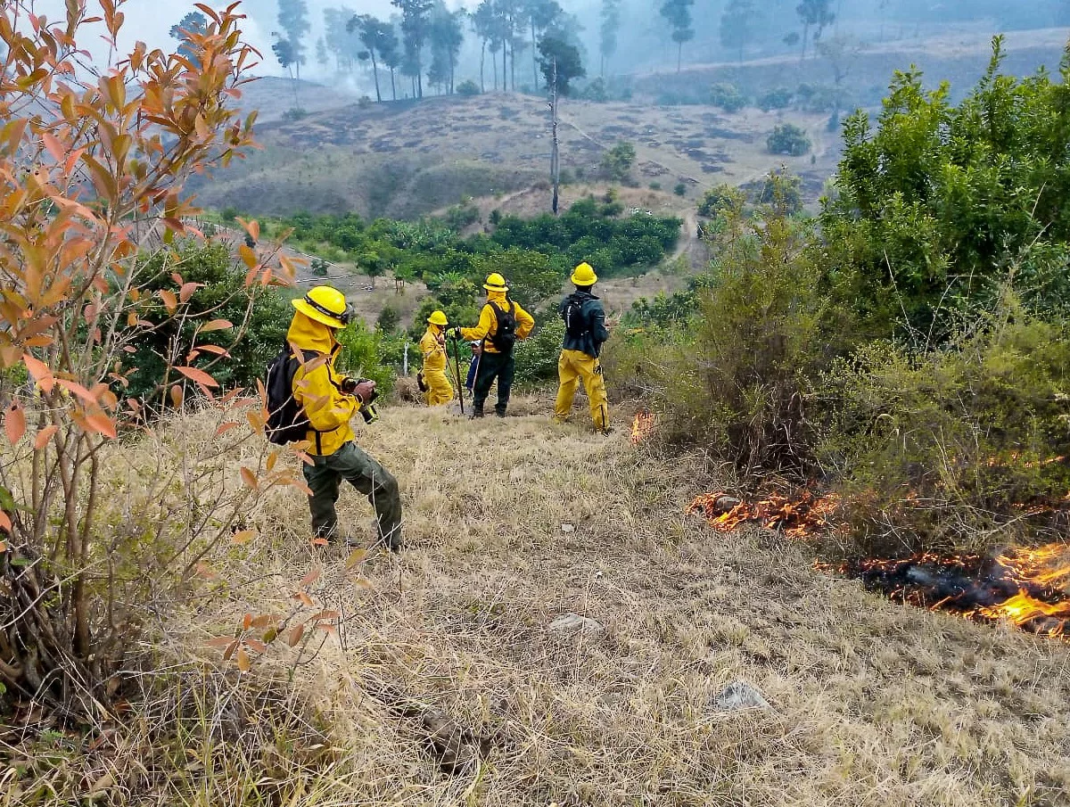 Bomberos forestales combaten incendios en diversos puntos del país