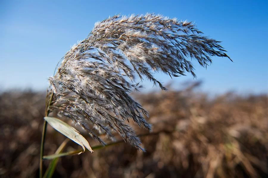 Cambio climático y contaminación, 