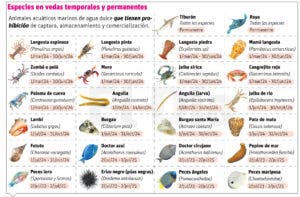 Previo Semana Santa alertan veda para preservar especies