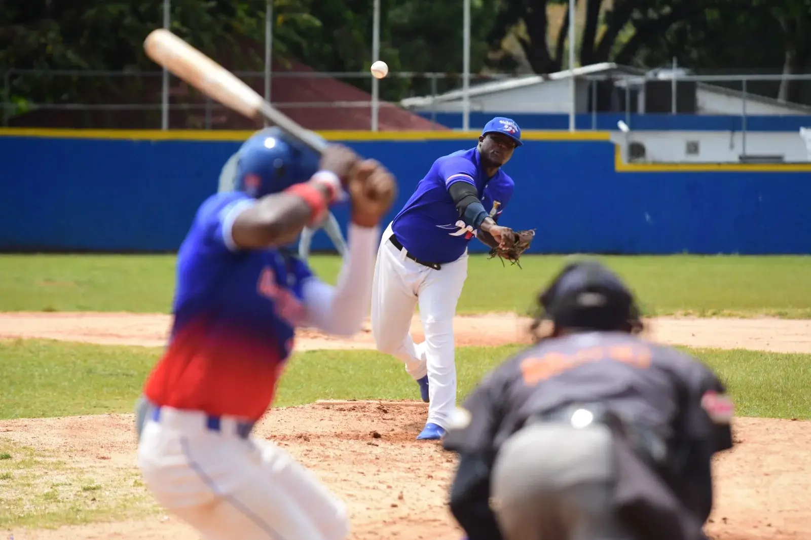 Bucaneros y Trinitarios triunfan en Campeonato Béisbol Primaveral 2024