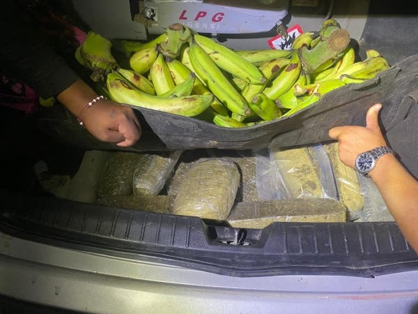 DNCD ocupa 106 libras de marihuana en Azua, arresta a dos personas